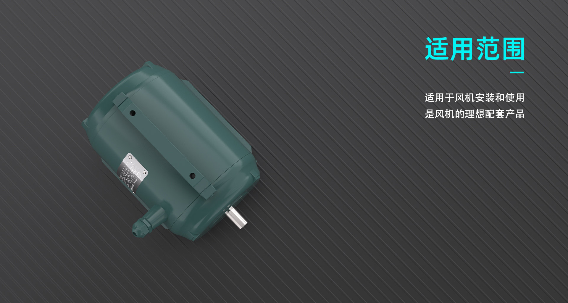 1677738934793887.jpg 4.jpg