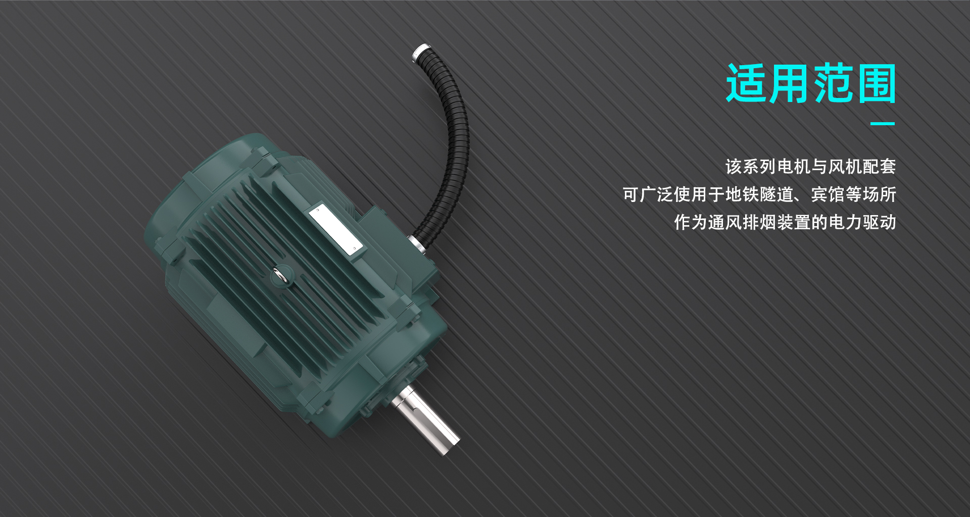 1677739382320162.jpg 4.jpg